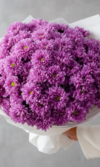 Монобукет из сиреневых хризантем