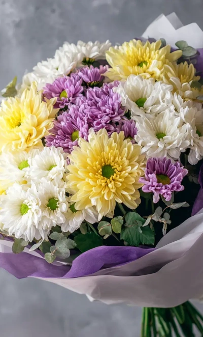 Монобукет из хризантем «Сиреневый рассвет»